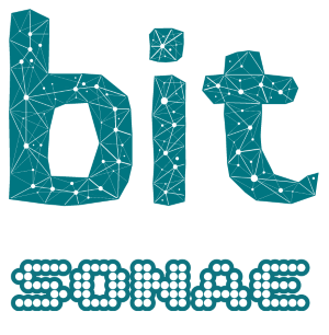 Bit